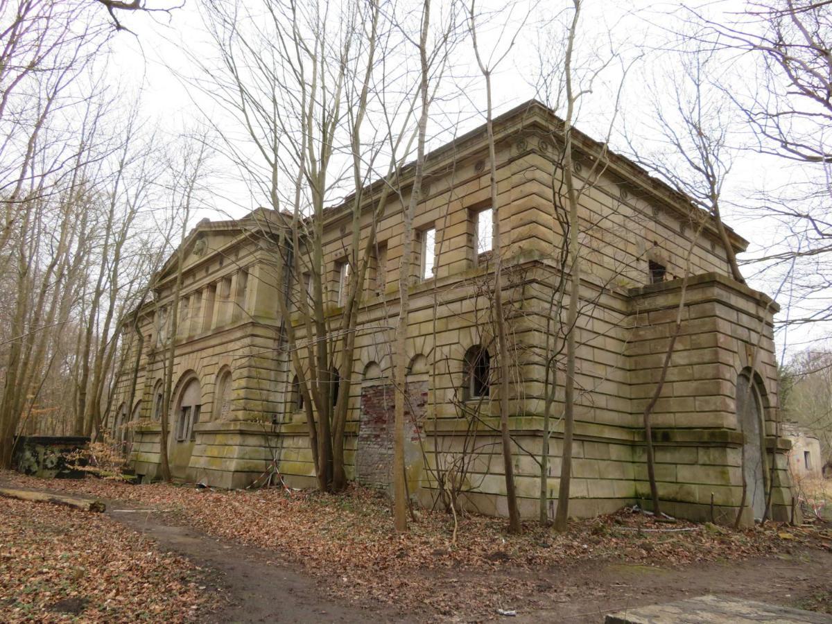 Pension Waldrose Sellin  Rum bild