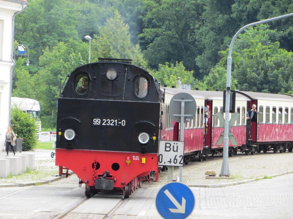 Pension Waldrose Sellin  Rum bild